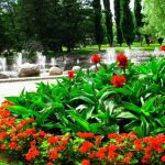 Como Construir Una Fuente De Agua Para Macizos De Flores