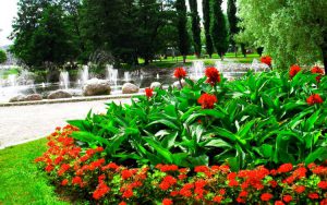 Como Construir Una Fuente De Agua Para Macizos De Flores