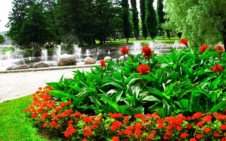 Como Construir Una Fuente De Agua Para Macizos De Flores