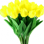 Como Crear Un Hermoso Arreglo De Tulipanes