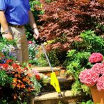 Como Crear Un Macizo De Flores Sin Malas Hierbas