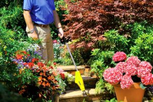 Como Crear Un Macizo De Flores Sin Malas Hierbas