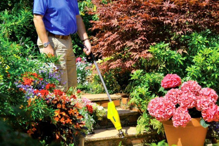 Como Crear Un Macizo De Flores Sin Malas Hierbas