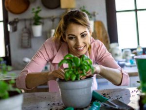 Como Cultivar Un Jardin De Hierbas De Interior 1