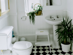 Como Decorar Un Bano En Blanco Y Negro
