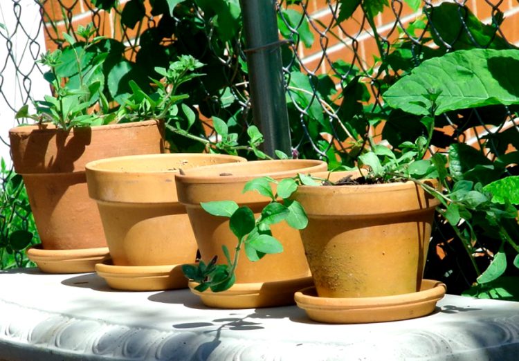 Como Decorar Una Maceta De Terracota Fea