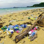 Como Detener La Contaminacion