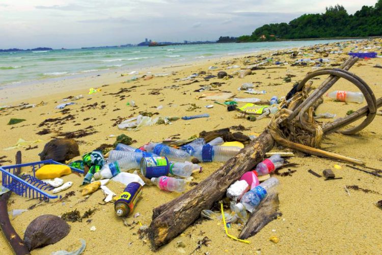 Como Detener La Contaminacion