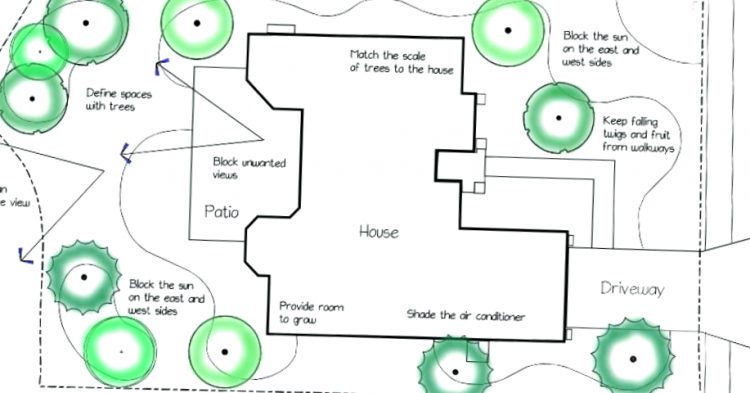 Como Dibujar Un Plano Del Sitio Del Patio