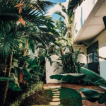 Como Disenar Un Patio