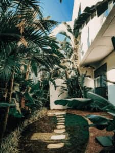 Como Disenar Un Patio