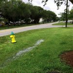Como Drenar El Agua Estancada Con Un Pozo Seco