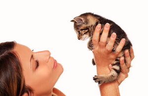 Como Educar A Un Gatito