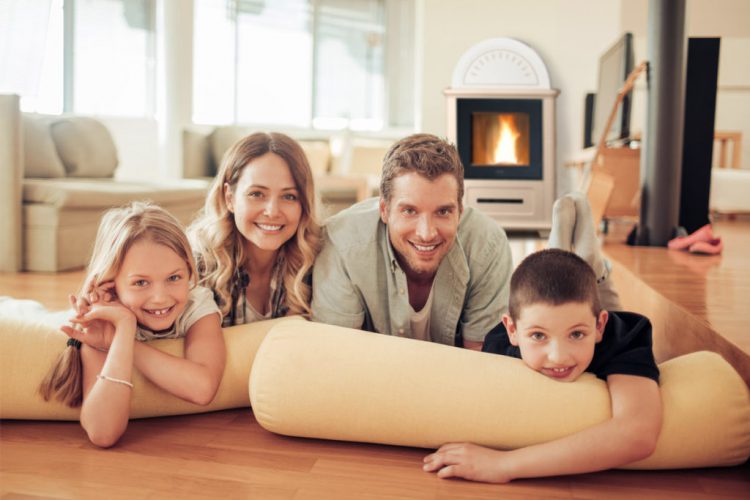 Como Elegir Estufas De Pellet