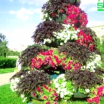 Como Elegir Flores Para Complementar El Paisajismo