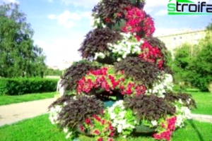 Como Elegir Flores Para Complementar El Paisajismo
