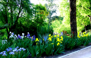 Como Elegir Y Comprar Arte De Jardin