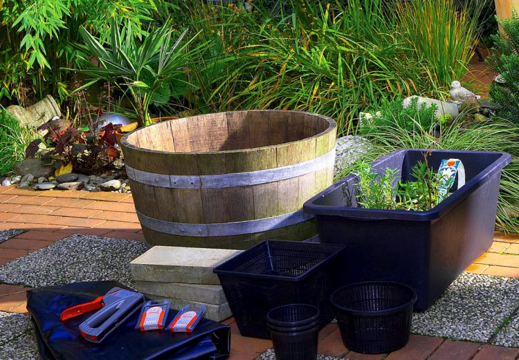Como Elegir Y Construir Un Estanque De Jardin