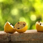Como Eliminar Las Moscas De La Fruta