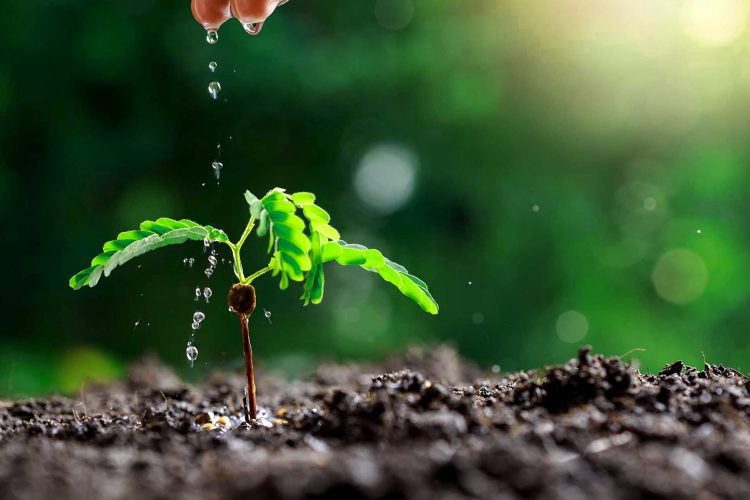 Como Entender Los Dispositivos De Riego De Agua