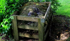 Como Hacer Abono Aprenda A Hacer Abono Organico En El Jardin 3
