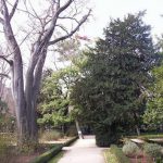 Como Hacer Abono En Invierno