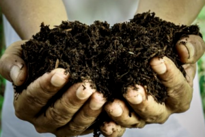 Como Hacer Fertilizantes Organicos En Casa