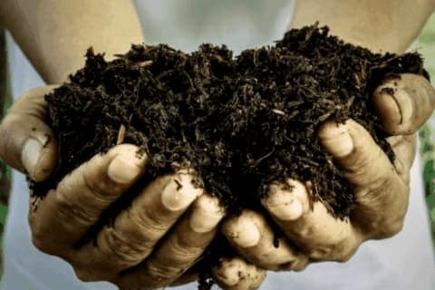 Como Hacer Fertilizantes Organicos En Casa