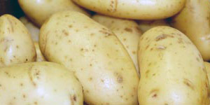 Patatas