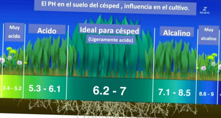 Como Hacer Que El Suelo Sea Acido Para Las Plantas