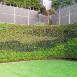 Como Hacer Que Su Cesped Sea Mas Verde Sin Contratar El Cuidado Del Cesped