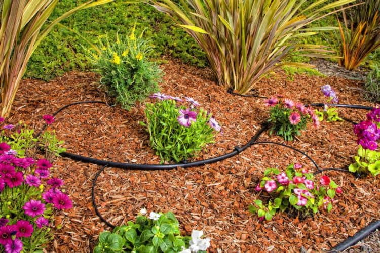 Como Hacer Riego De Jardines