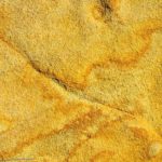Como Hacer Tinte Acido Para Hormigon