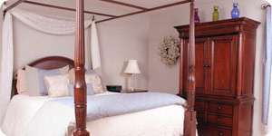 Dosel De Cama