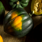 Como Hacer Un Enrejado Para Calabazas