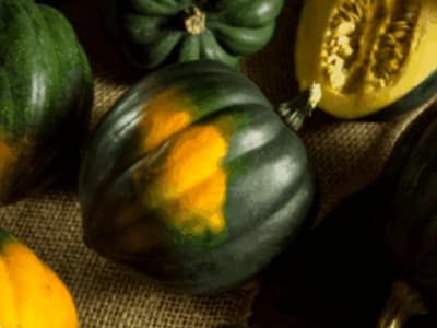 Como Hacer Un Enrejado Para Calabazas