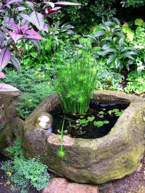 Como Hacer Un Estanque De Jardin Con Un Recipiente Rubbermaid
