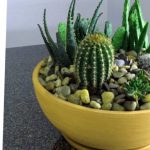 Como Hacer Un Plato De Jardin Con Suculentas