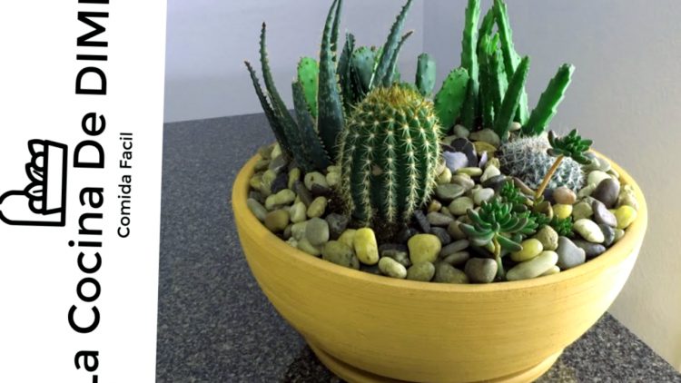 Como Hacer Un Plato De Jardin Con Suculentas