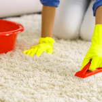 como hacer una solucion economica para limpiar alfombras 1
