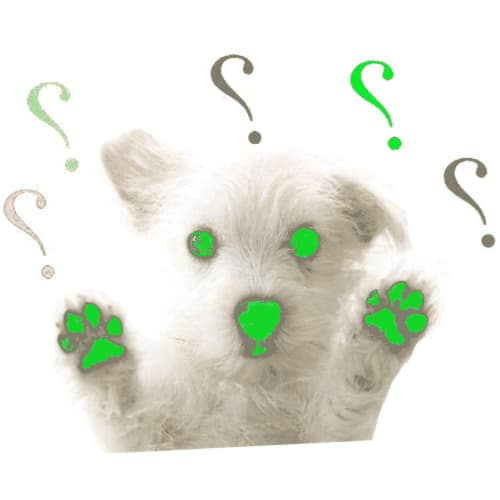 Como Hacer Una Valla A Prueba De Perros 1