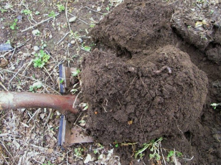 Como Instalar Sistemas De Drenaje En El Jardin