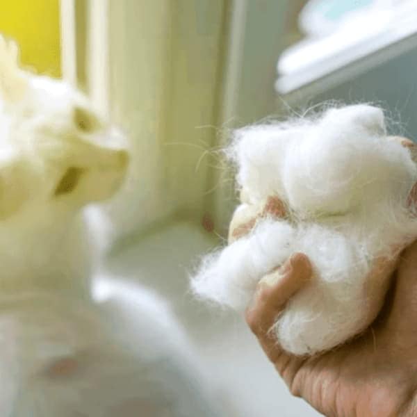 Como Limpiar El Pelo Caido En El Suelo Del Bano 1