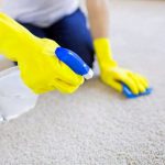Como Limpiar Las Manchas De Moho De La Alfombra