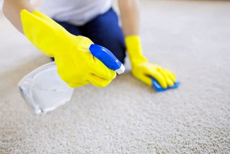 Como Limpiar Las Manchas De Moho De La Alfombra