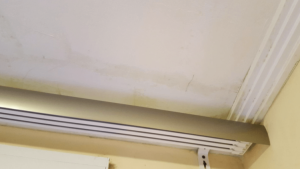 Como Limpiar Las Manchas De Moho Y Hongos En El Techo