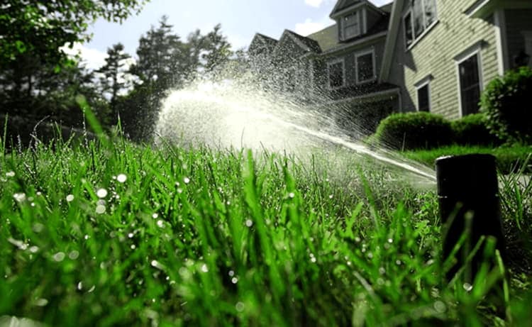 Como Mantener Las Babosas Fuera De Su Jardin