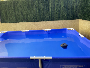 Como Mantener Su Piscina En Buen Estado Scaled
