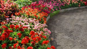 Como Mantener Un Jardin