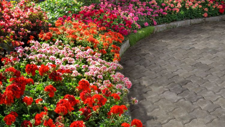 Como Mantener Un Jardin